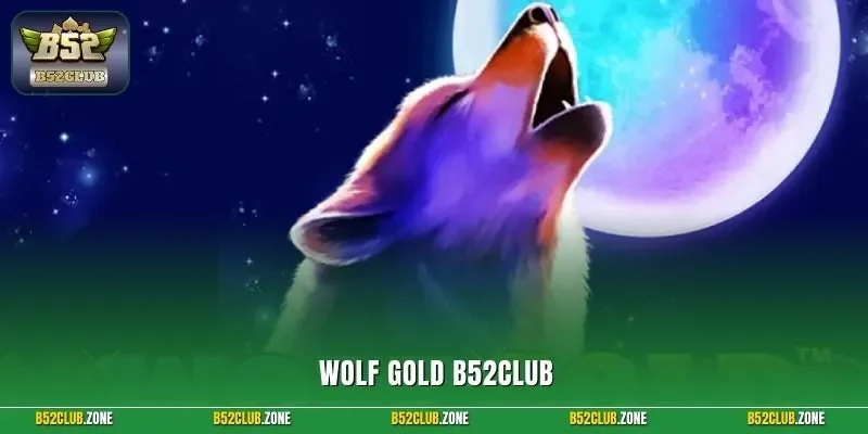 Wolf Gold B52Club